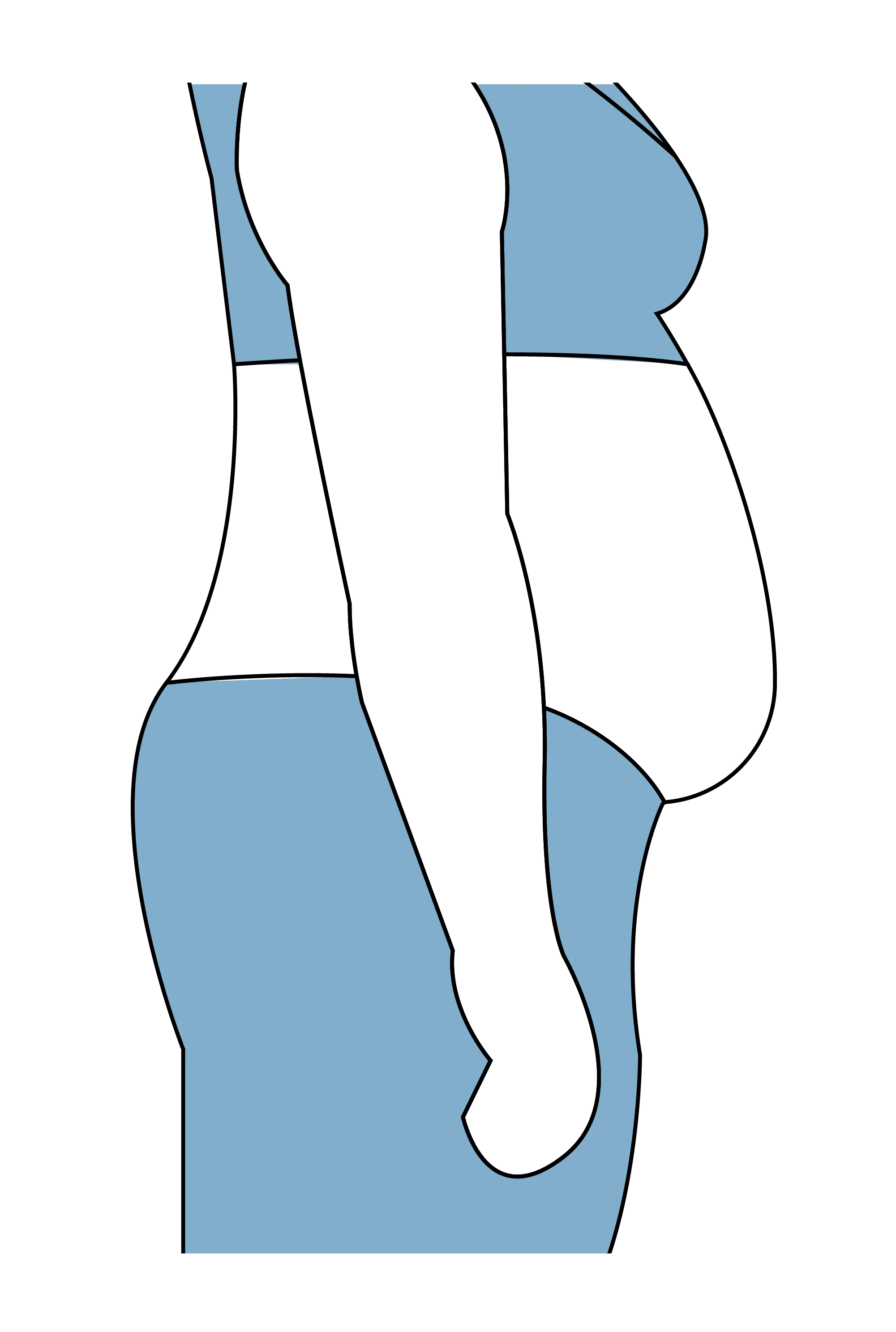 bodycurvy